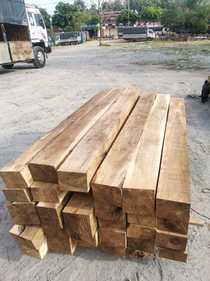 gỗ tràm
