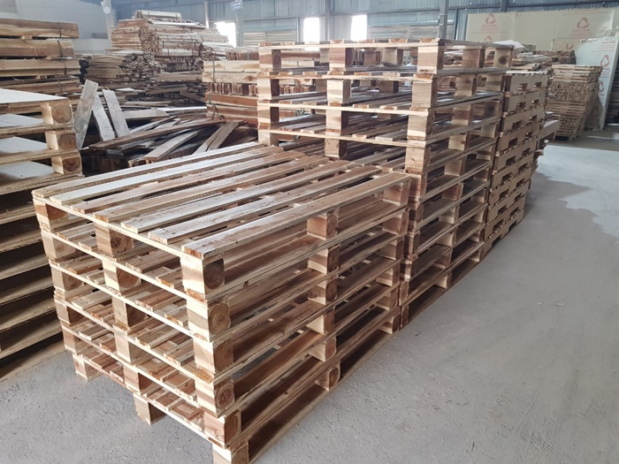 gỗ tràm xẻ sấy