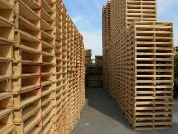 Pallet gỗ Đồng Nai