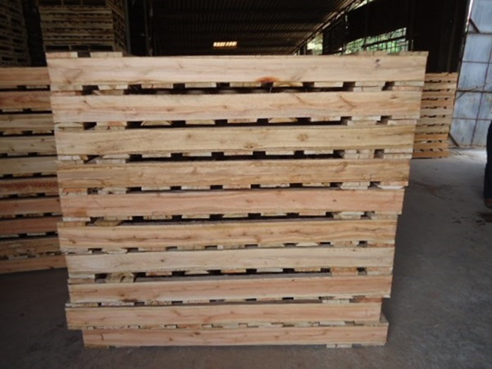 pallet gỗ thông