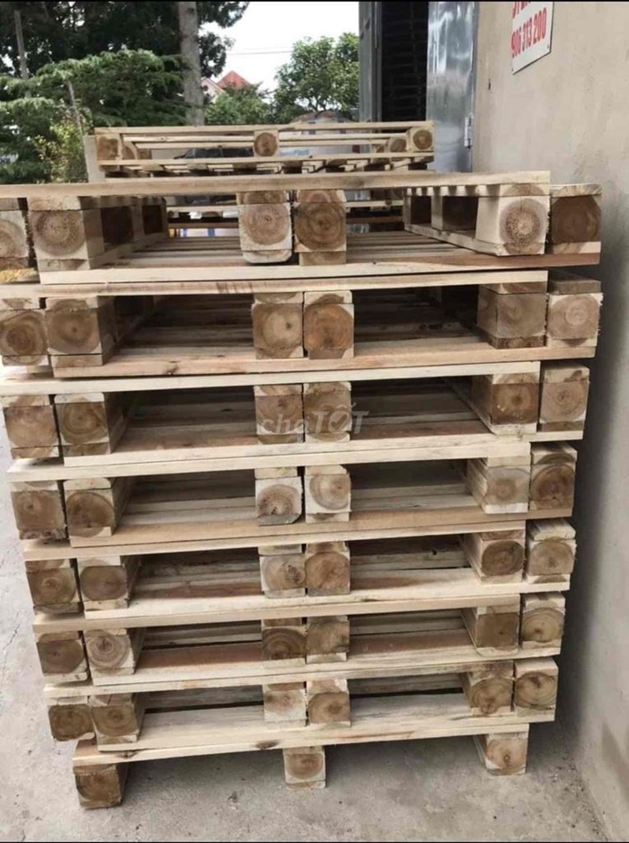 pallet gỗ tràm