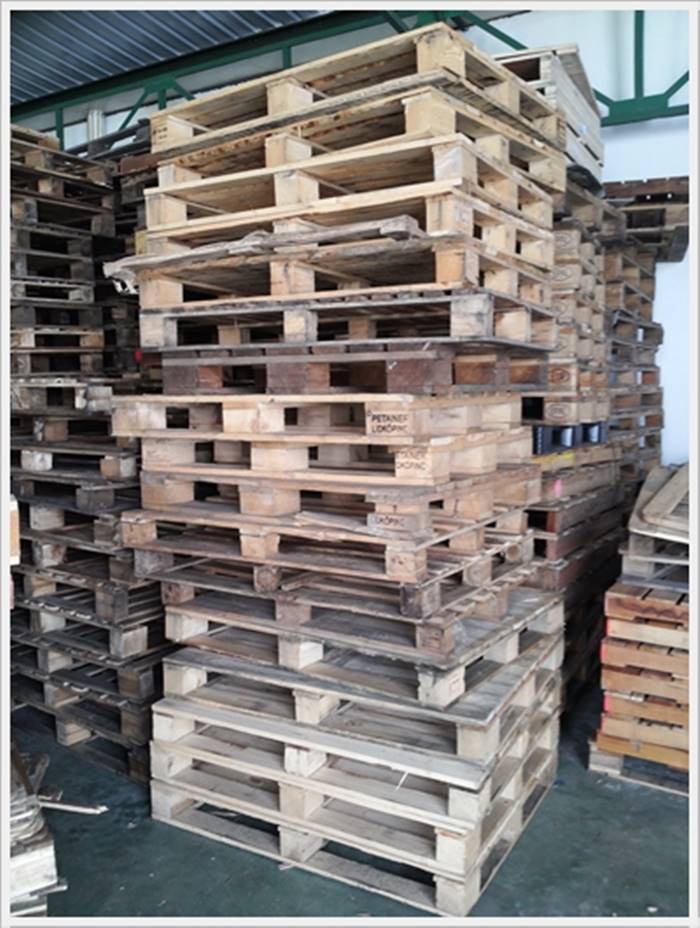 pallet gỗ thông giá rẻ