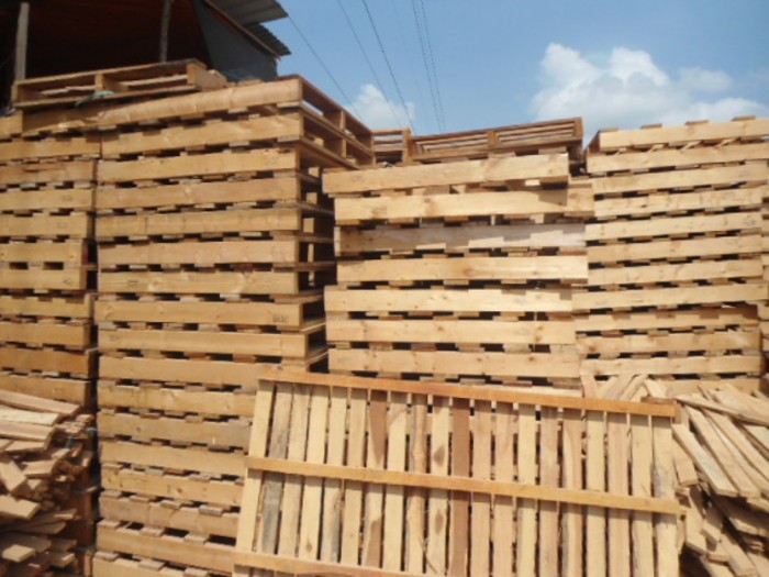 pallet gỗ thông giá rẻ
