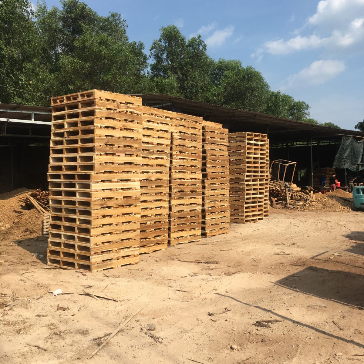 sản xuất pallet gỗ