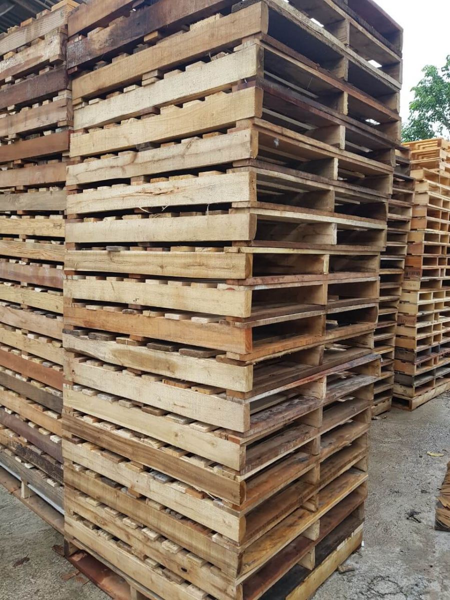 thu mua pallet gỗ đồng nai